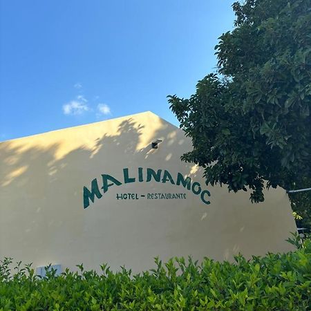 Palm Malinamoc Hotel 딜리 외부 사진