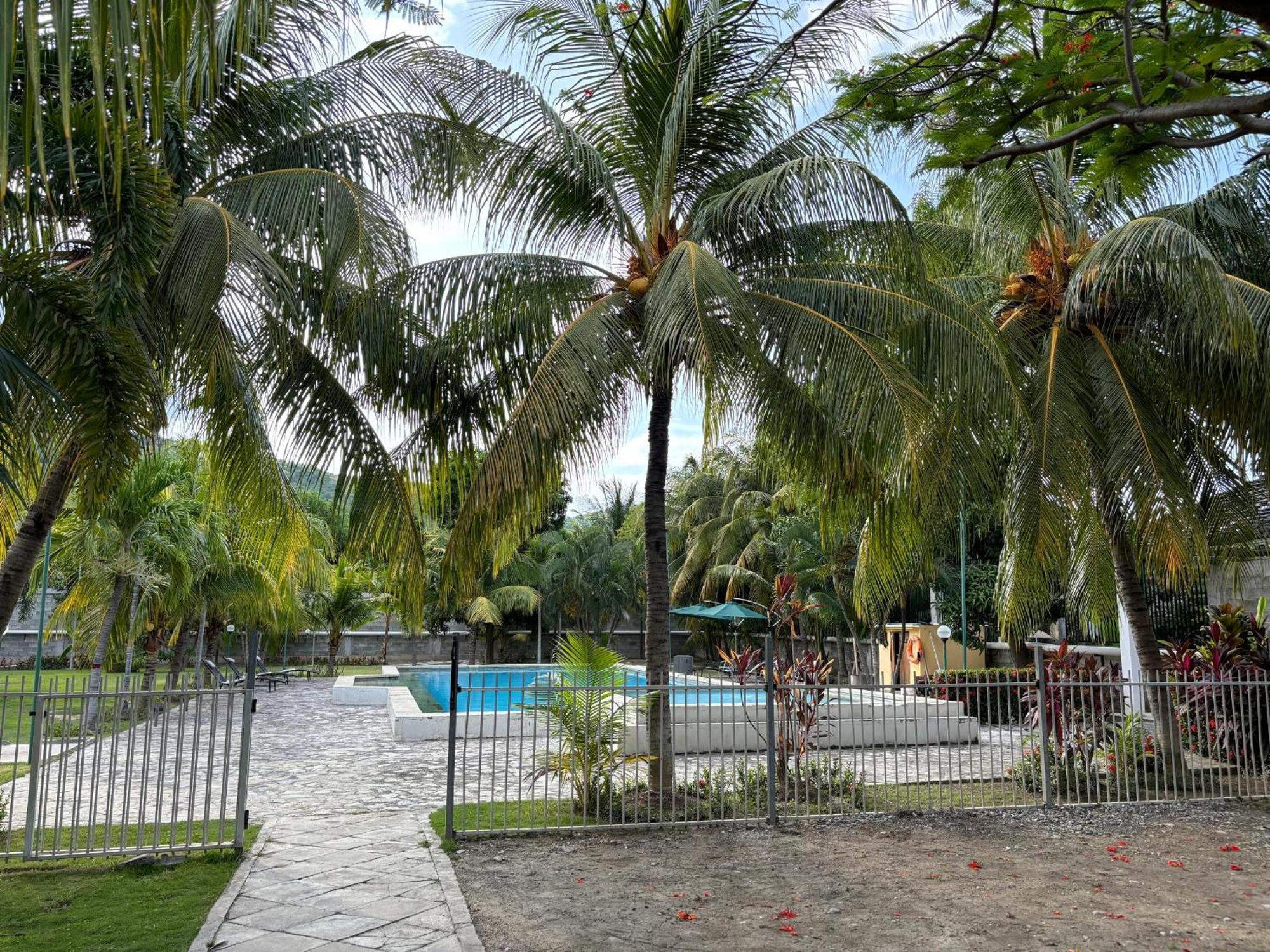 Palm Malinamoc Hotel 딜리 외부 사진