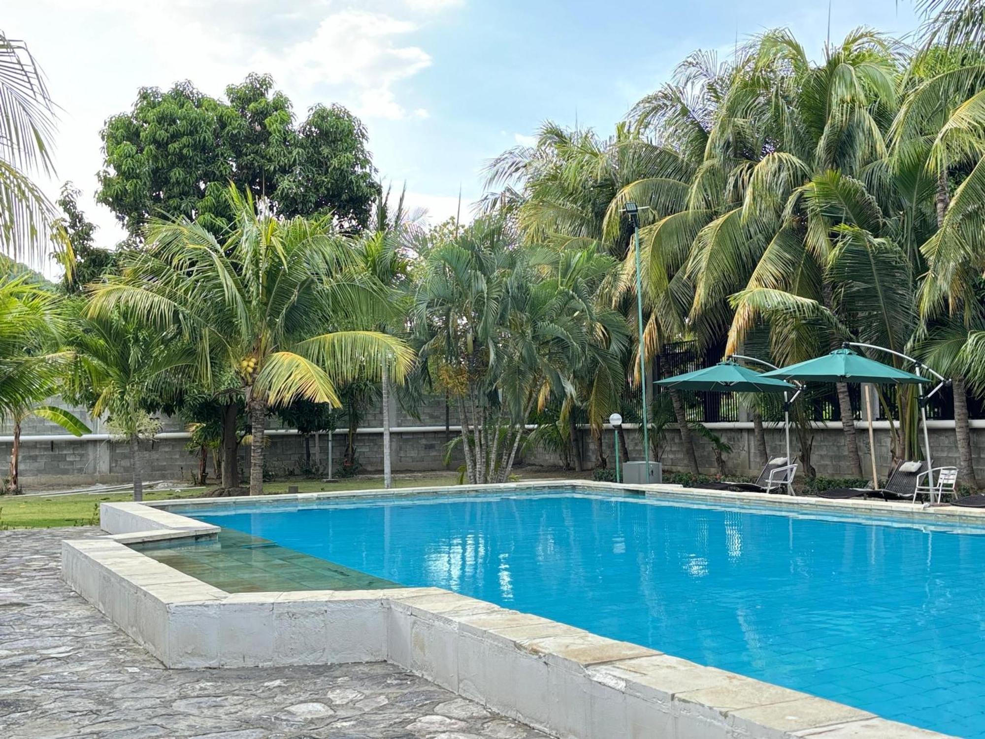 Palm Malinamoc Hotel 딜리 외부 사진