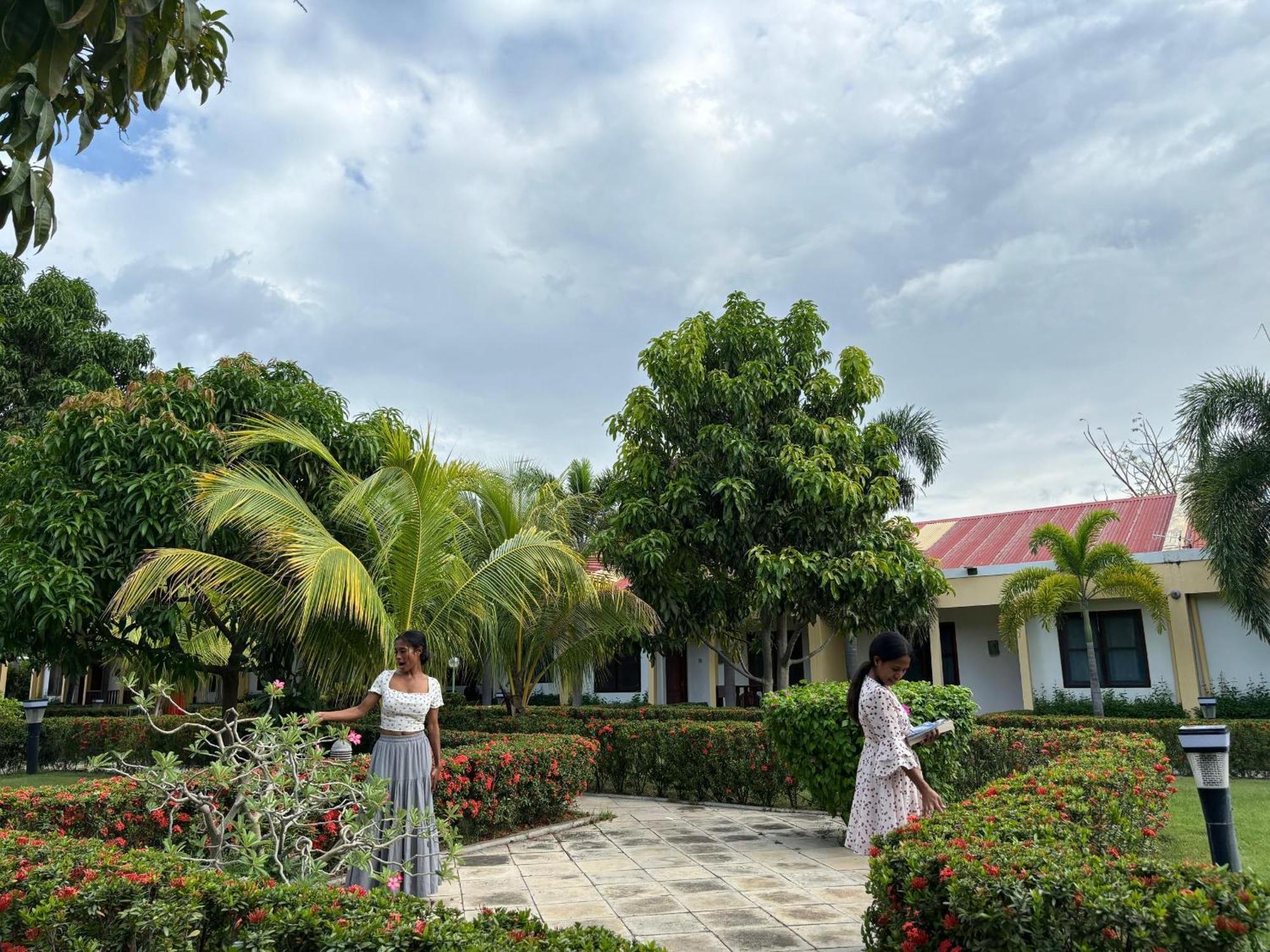 Palm Malinamoc Hotel 딜리 외부 사진
